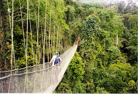 aburi garden in eastern region